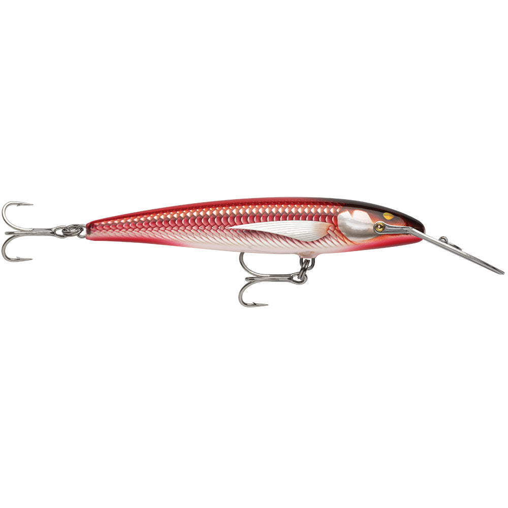 Rapala CountDown Magnum Elite 185 - 7 inch Armored Real Red Bait Saltwater Lure - CDMAGE185AMRRB