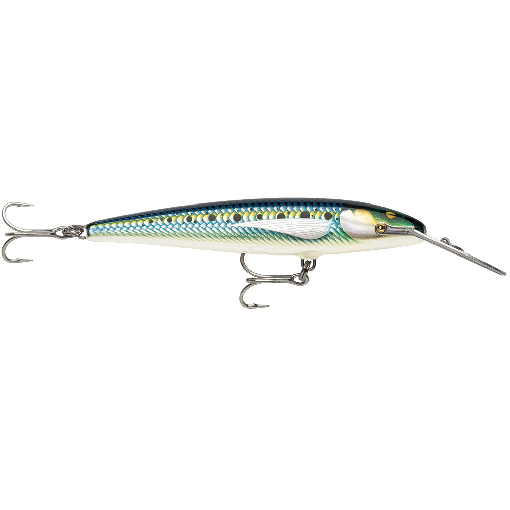 Rapala CountDown Magnum Elite 185 - 7-inch Armored Sardine Saltwater Fishing Lure - CDMAGE185AMSRD