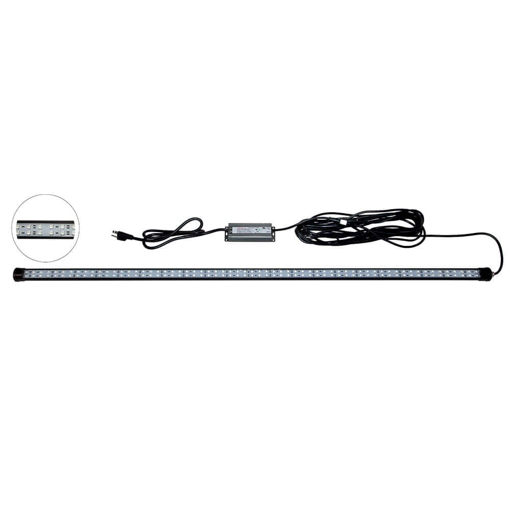 Hydro Glow 4' LED DockMaster 2000K Amber LED 120V - DM260A