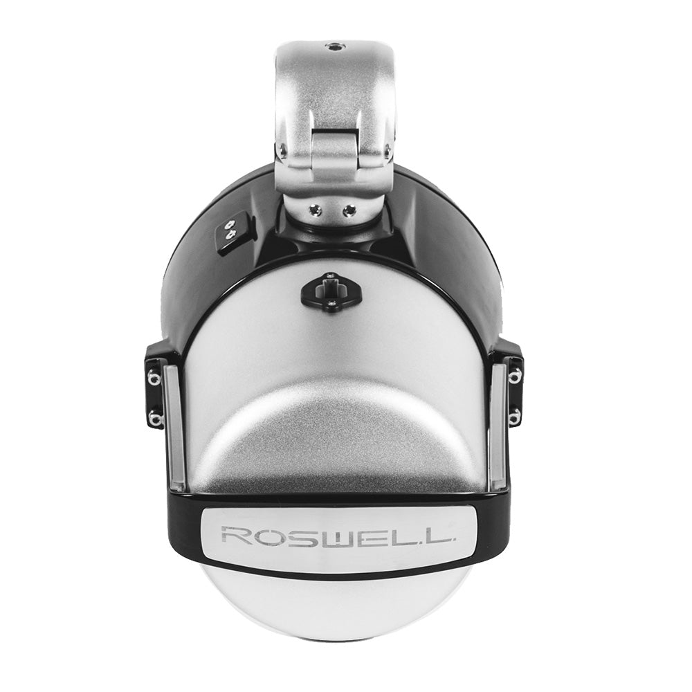 Roswell R1 8” Tower Speakers - Black - 100W RMS & 200W Peak Power