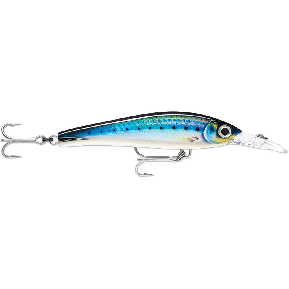 Rapala X-Rap® Magnum® Xtreme 6-1/4" HD Blue Sardine - XRMAGXT160HDBSRD