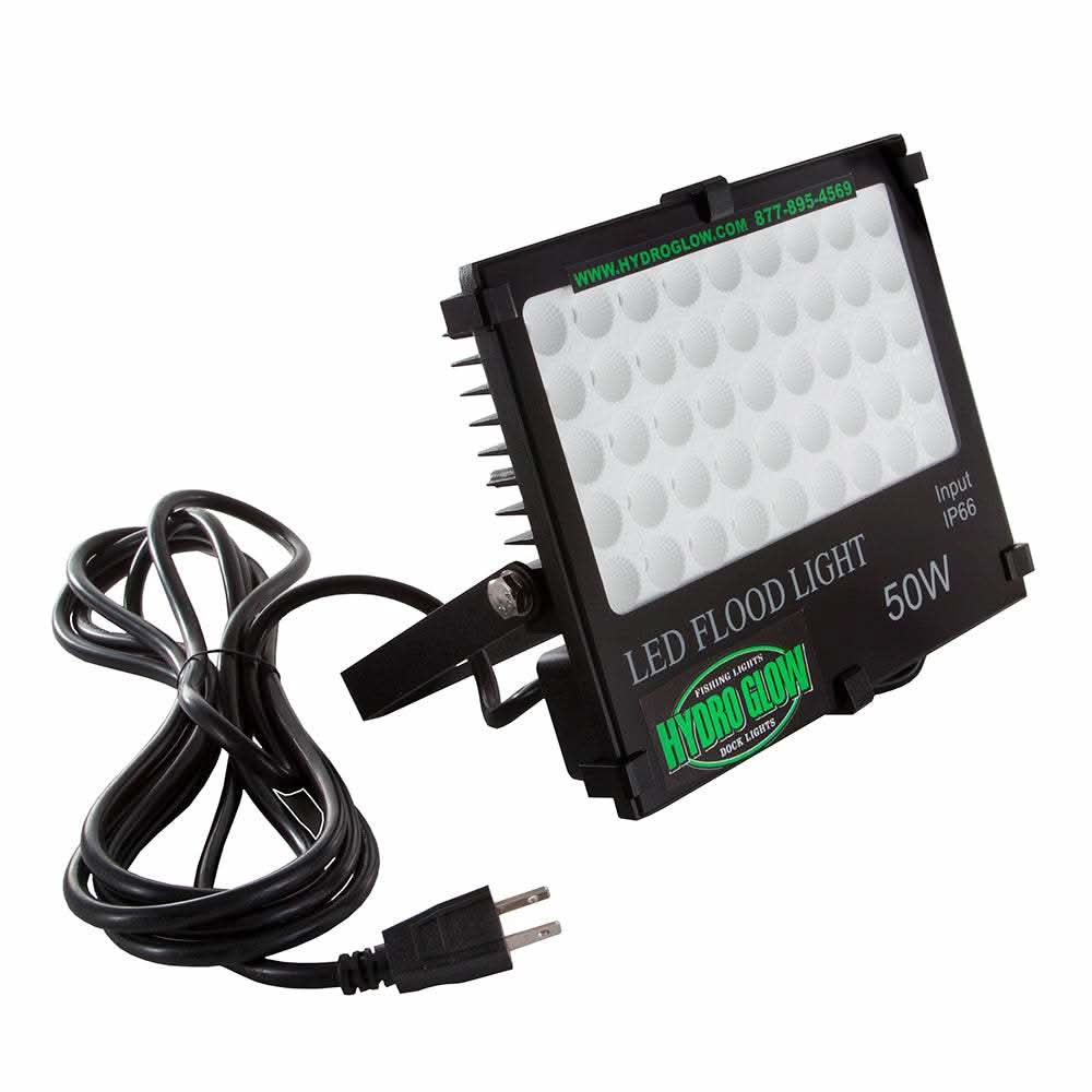 Hydro Glow FL50 50W green LED flood light with 10-foot cord and focused beam for fishing docks