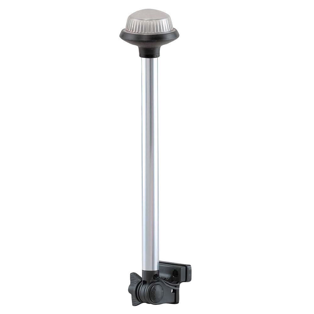 Fold Down All-Round Frosted Globe Pole Light with horizontal mount and frosted globe on anodized pole