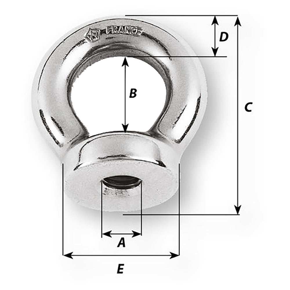 Wichard 1/4 Eye Nut 1/2 inch diameter forged stainless steel fastening hardware.