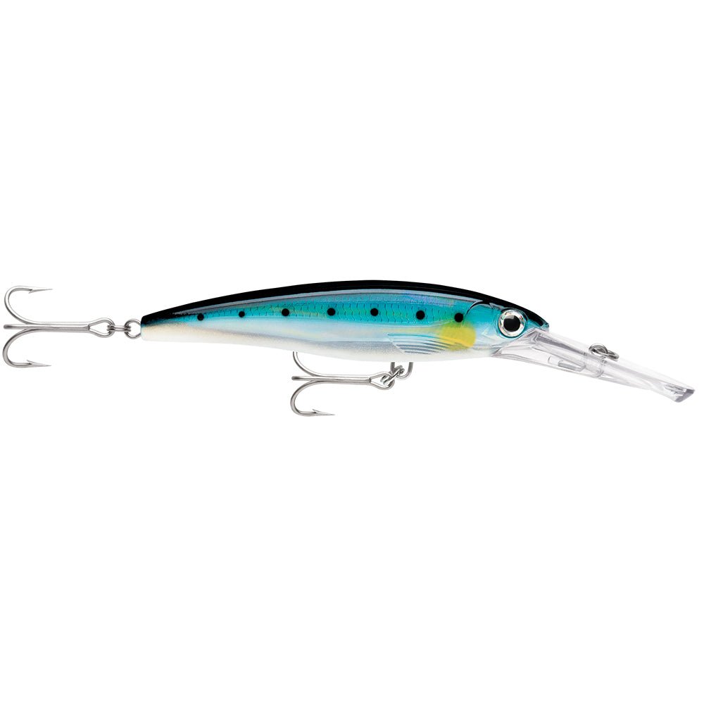 Rapala X - Rap Magnum 15 Blue SardineXRMAG15BSRD - XRMAG15BSRD - Anchor Express