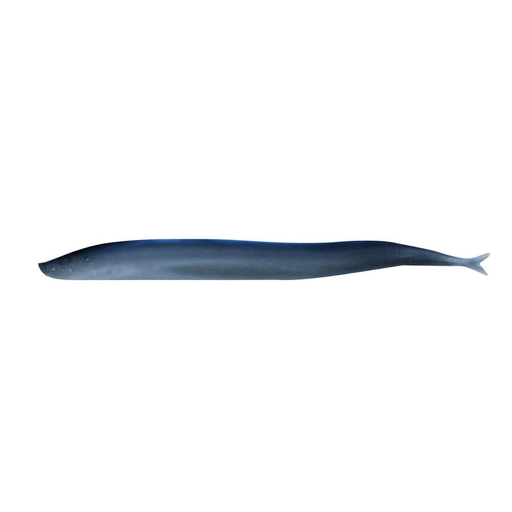 Berkley Gulp! Saltwater Sand Eel - 5 inch Silver Mud Soft Bait - 1121693 - Anchor Express