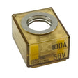 Egis MRBF Terminal Fuse - 100 Amp - Anchor Express