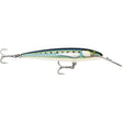 Rapala CountDown Magnum Elite 185 - 7 - inch Armored Sardine Saltwater Fishing Lure - CDMAGE185AMSRD - Anchor Express