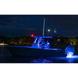 Shakespeare VHF Comm - Light 6' 6" Lighted Antenna - CL - 6 - Anchor Express