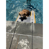 Solstice Watersports Inflatable PupPlank Dog Ramp - Mini - 33424