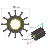 Albin Pump Premium Impeller Kit 65.8 x 25 x 80mm - 12 Blade - Spline Insert - 06-01-020