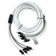 FUSION EL-FRCA6 6' Standard 4-Way RCA Cable - 010-12892-00