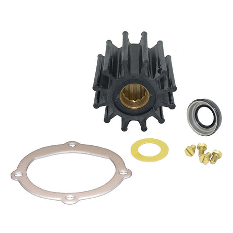 Johnson Pump Service Kit F6B-9 - 09-45825